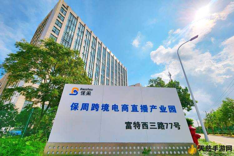 孝感九九久电子商务有限公司：电商新势力，引领未来商业潮流